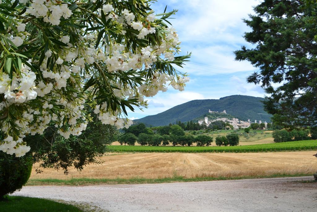 Camere I Monelli Assisi Luaran gambar