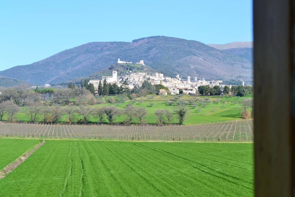 Camere I Monelli Assisi Luaran gambar